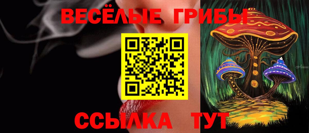 Псилоцибиновые грибы MAGIC MUSHROOMS  Псилоцибиновые грибы Psilocybine cubensis  Вход с VPN  Серов 