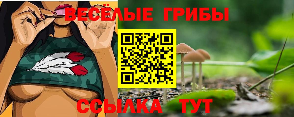 Псилоцибиновые грибы ЛСД Серов